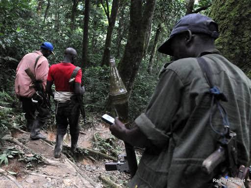 Rutshuru :  un agent de la Croix-Rouge  kidnappé à Nyamilima.