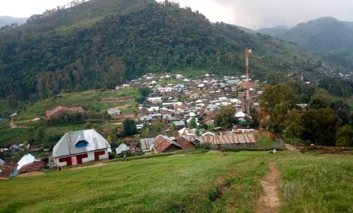 Nord-Kivu: le gouvernement provincial lance le projet de reboisement des jardins  scolaires à travers la province