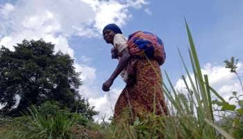 Beni territoire : libération de plusieurs civiles après une offensive des FARDC.