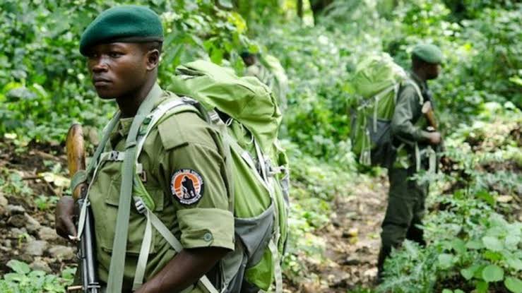 Rutshuru: 4 personnes tuées à Nyamitwitwi.