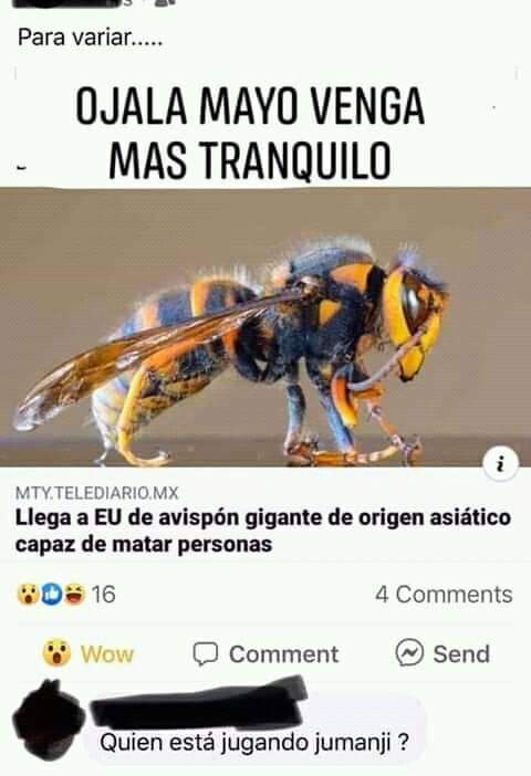 WhatsApp Image 2020-05-08 at 13.55.04