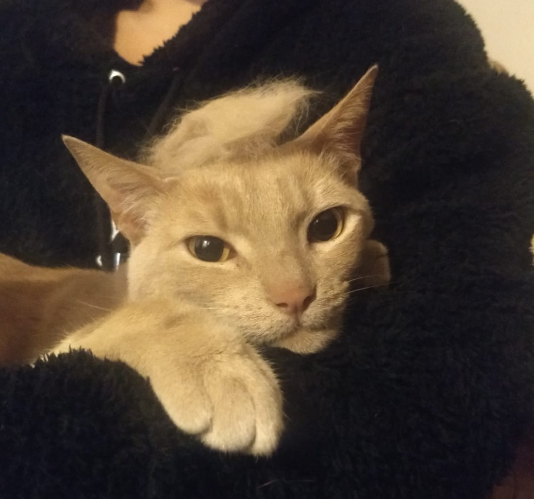 WhatsApp Image 2020-09-11 at 21.43.47