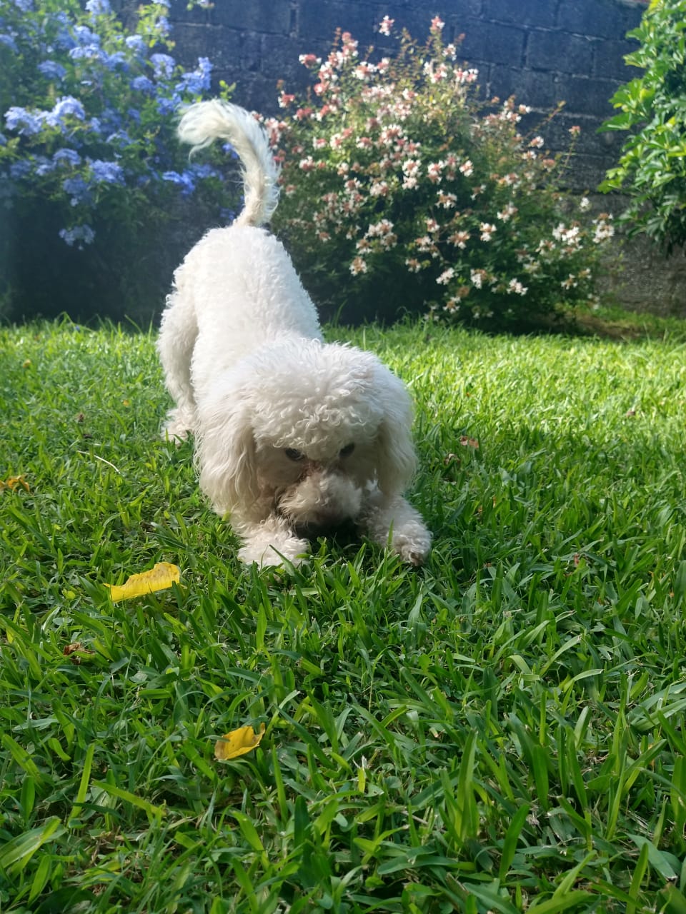 WhatsApp Image 2021-02-17 at 17.23.50