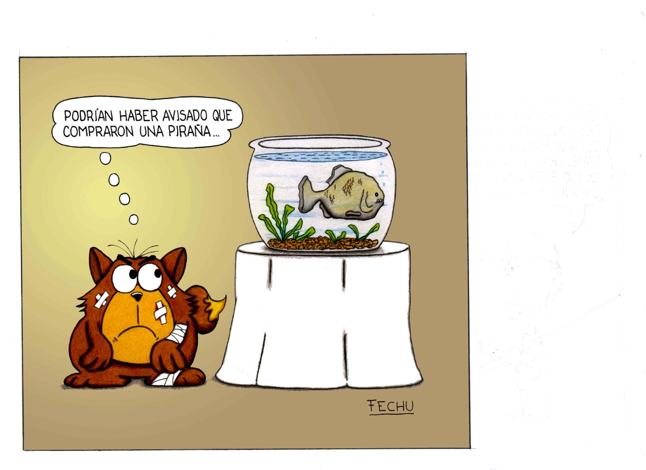 WhatsApp Image 2021-05-16 at 12.14.11