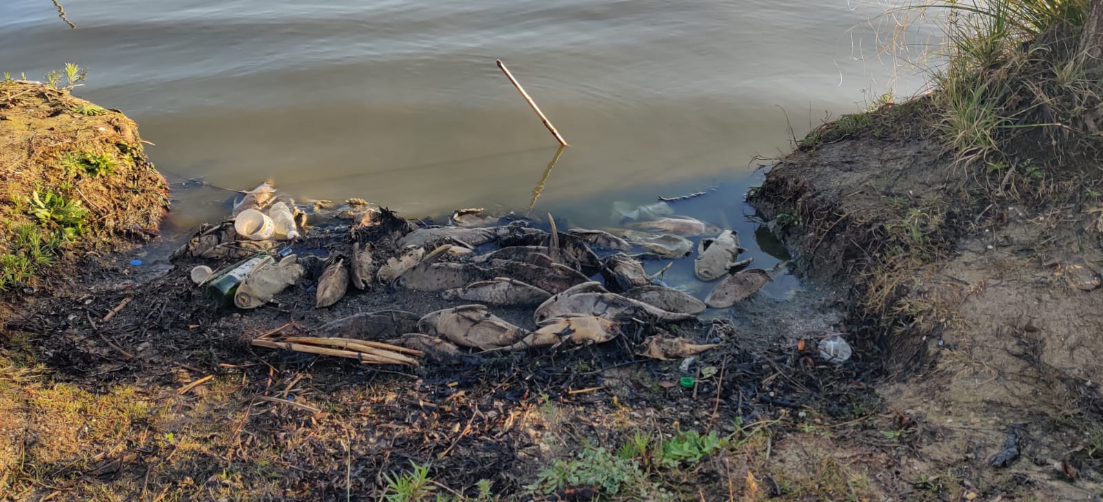 WhatsApp Image 2022-08-17 at 4.45.23 PM (2)