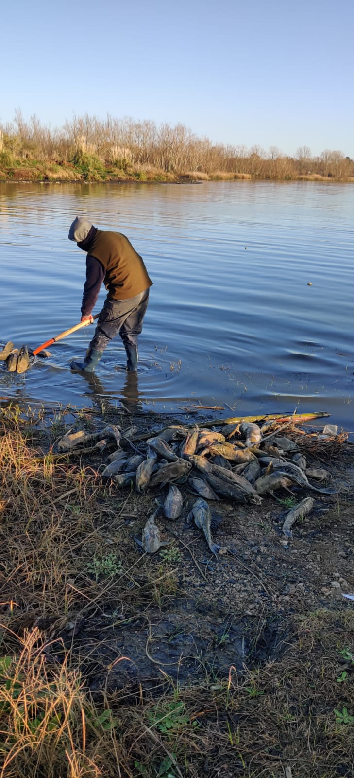 WhatsApp Image 2022-08-17 at 4.45.23 PM (3)