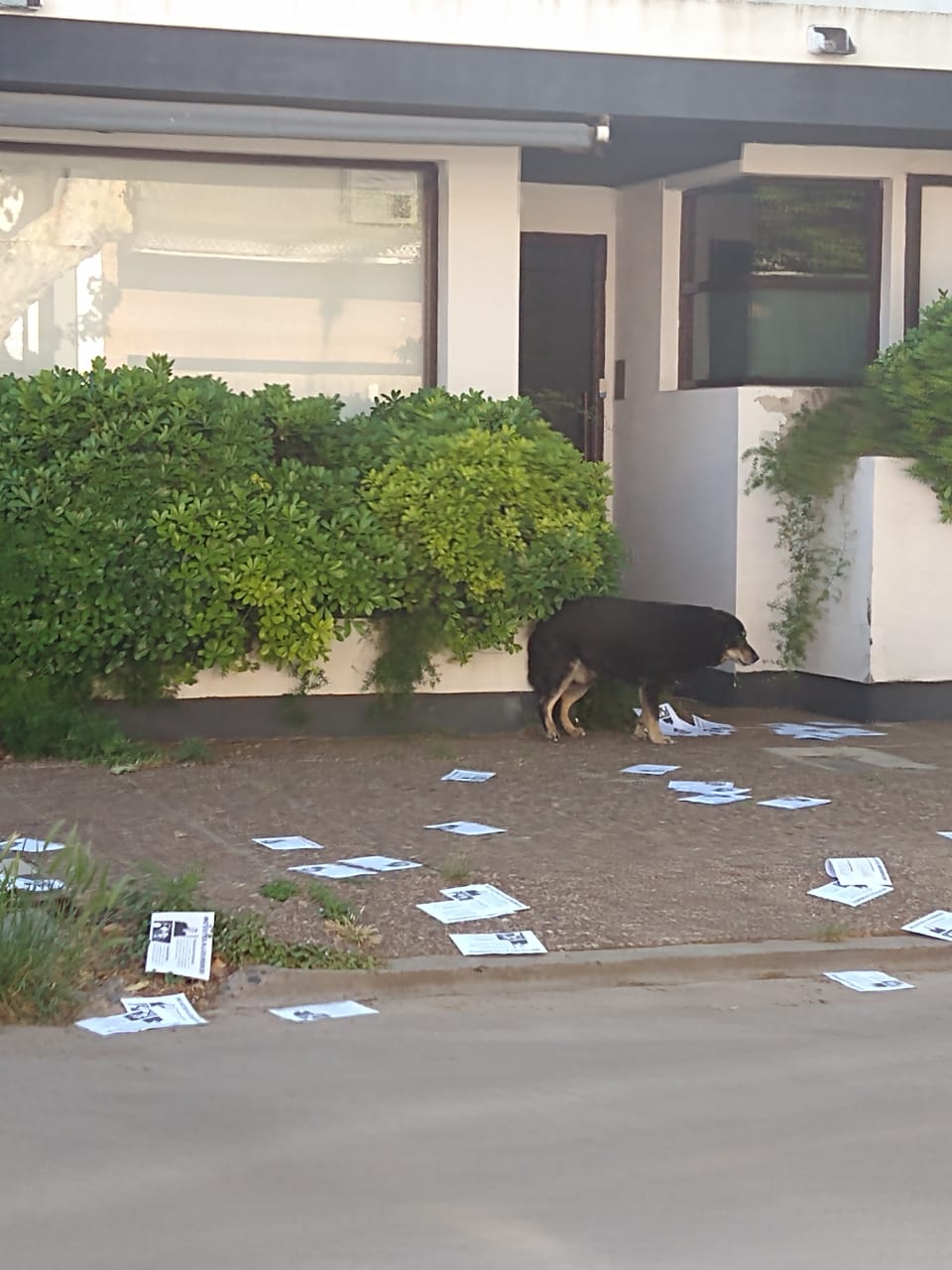 WhatsApp Image 2022-10-24 at 09.48.02