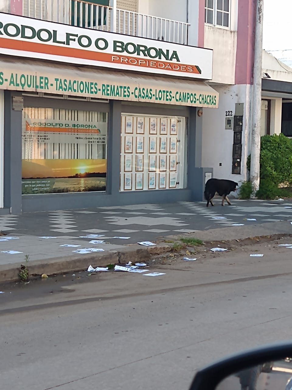 WhatsApp Image 2022-10-24 at 09.48.03