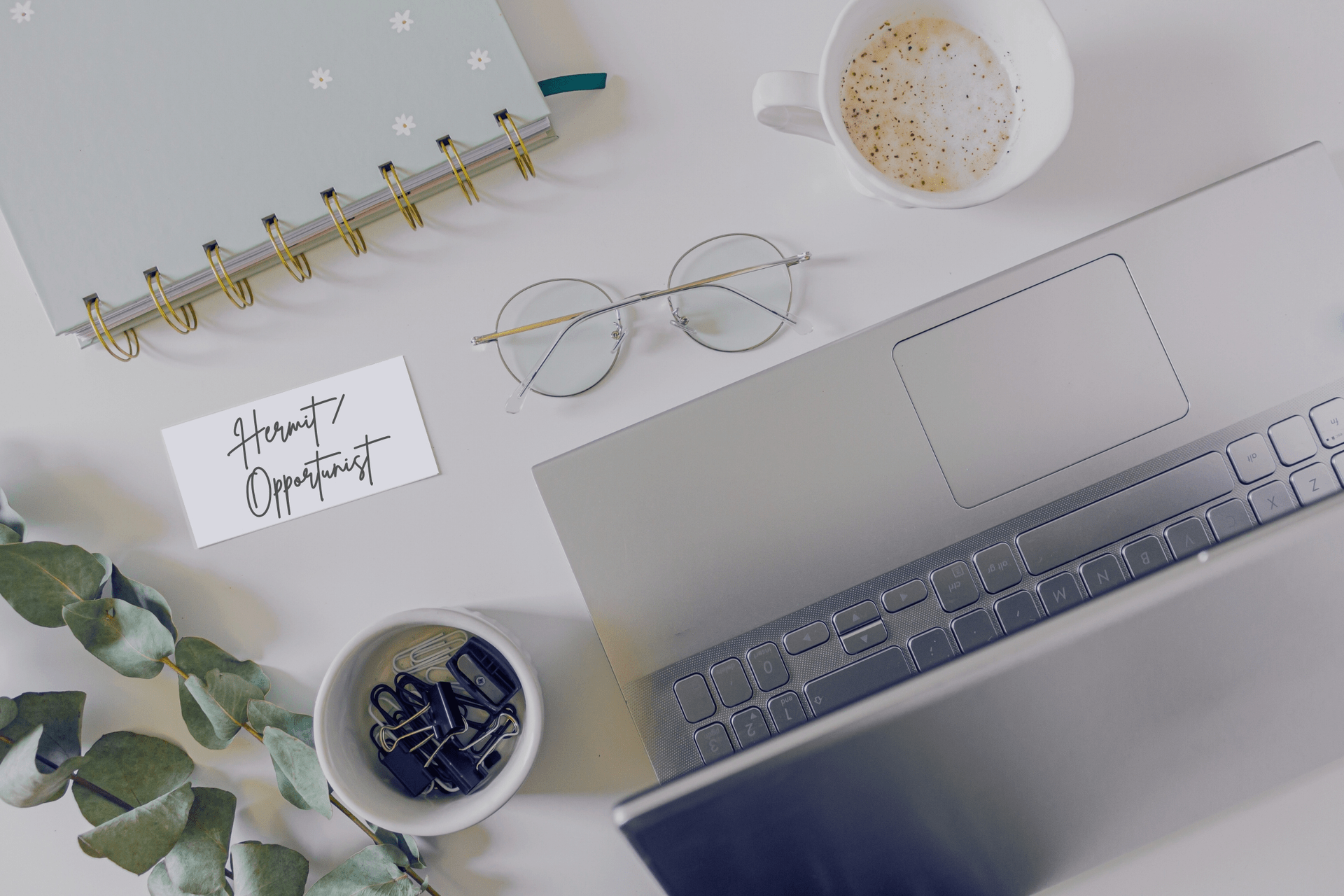 The Embodied Codex: Somatic Leadership with a 2/4 Profile in Human Design