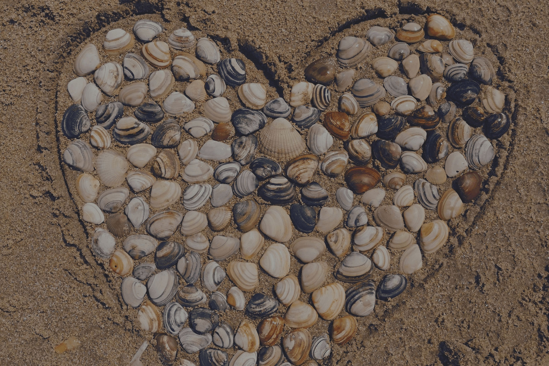 The Embodied Codex: Healing the Control Shadow in Leadership