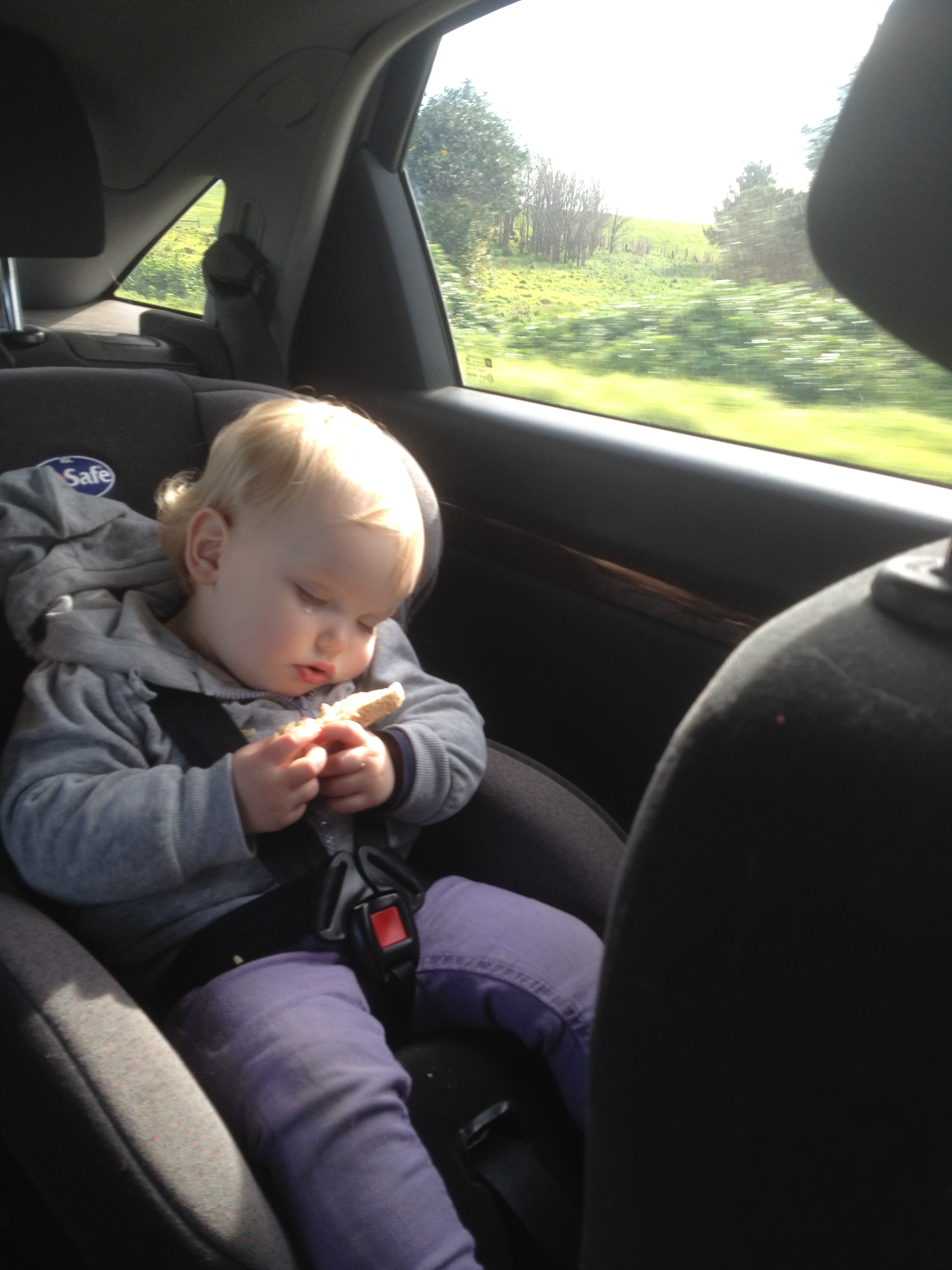 'Too sleepy to eat my cheese sanger'!