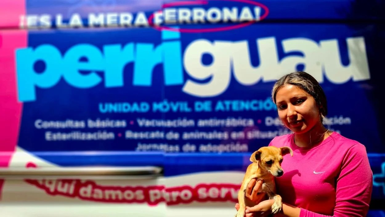 guau