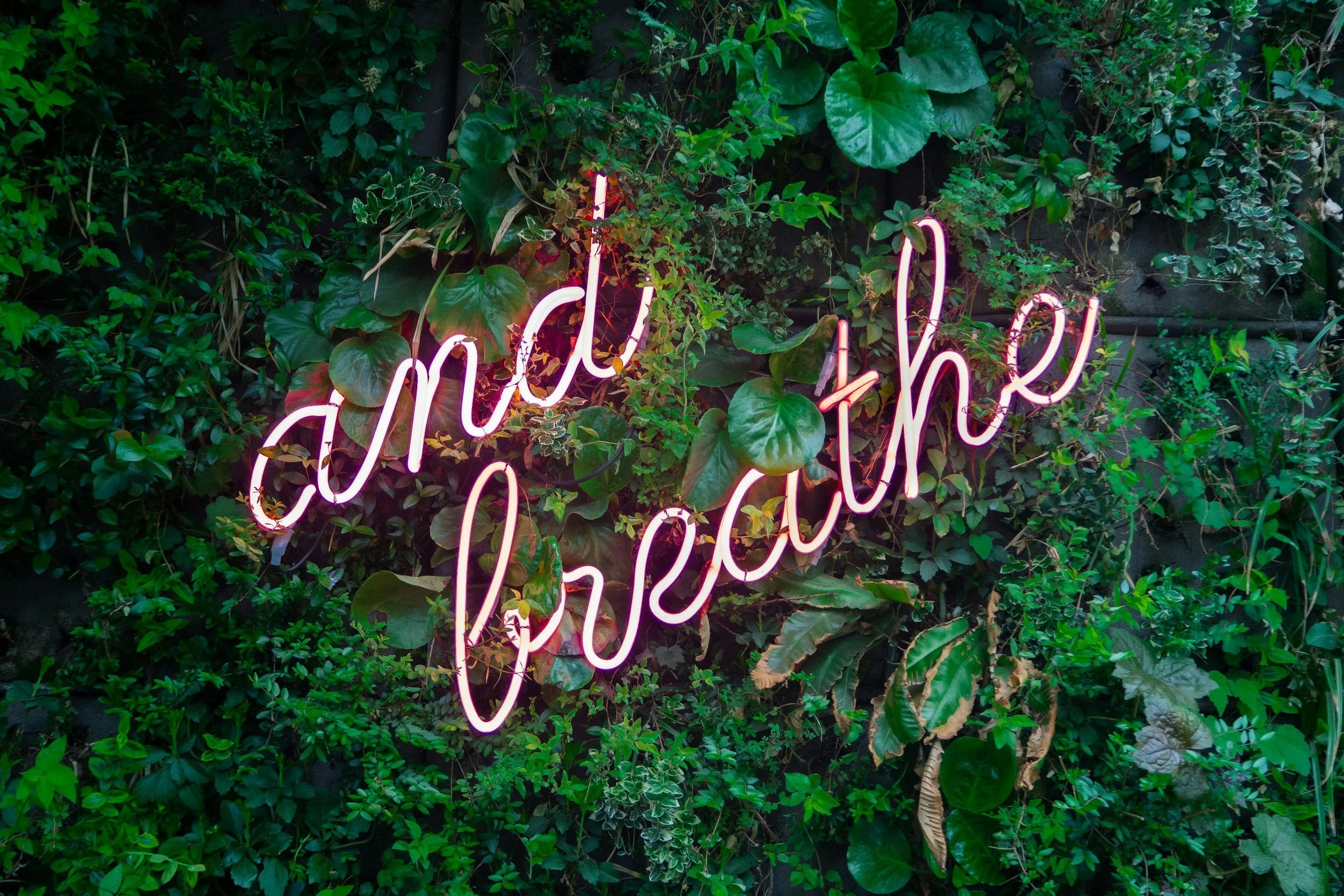 Just Relax