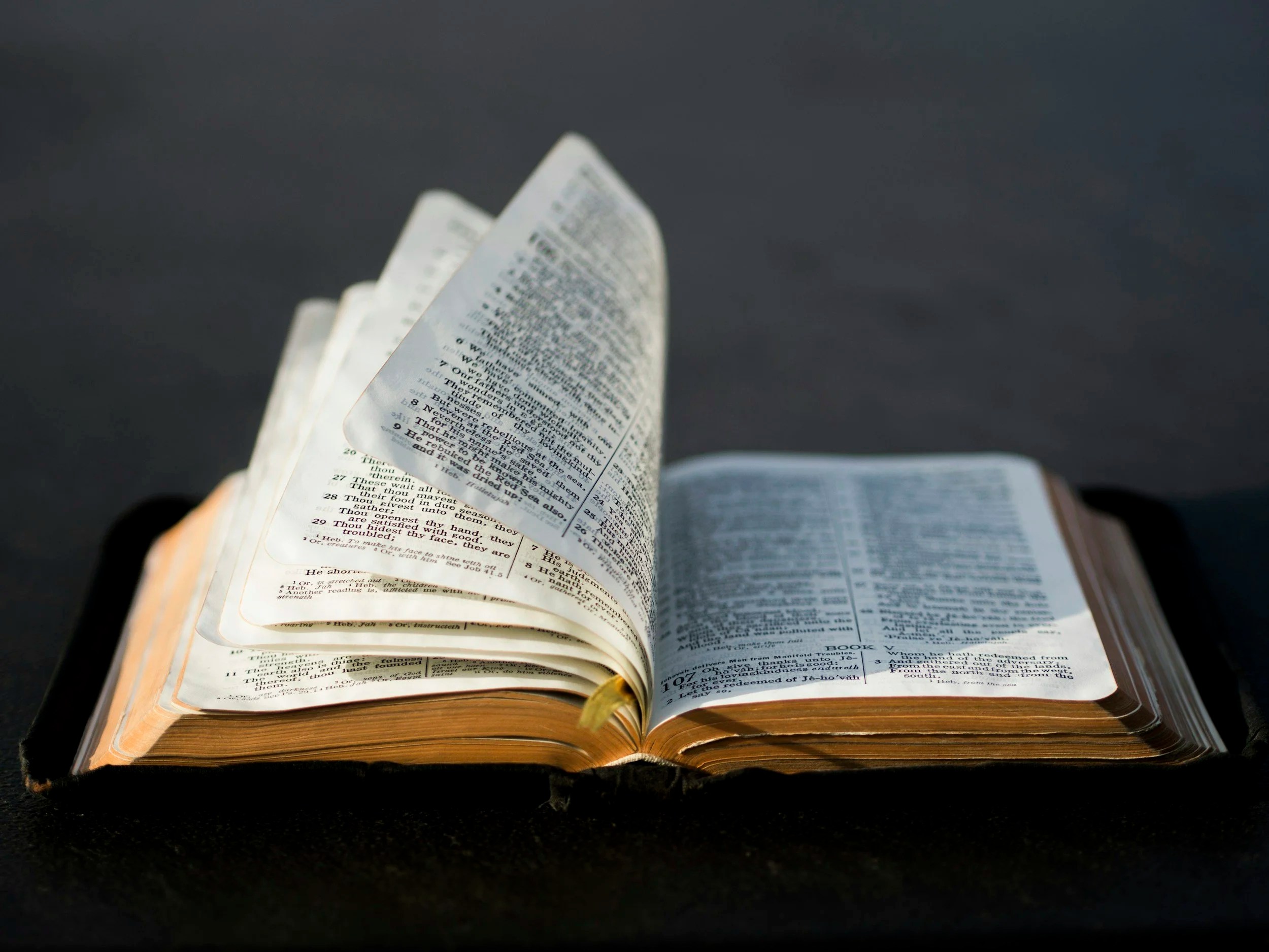 The Bible Means what it Says