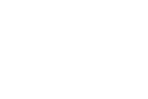 Domijn
