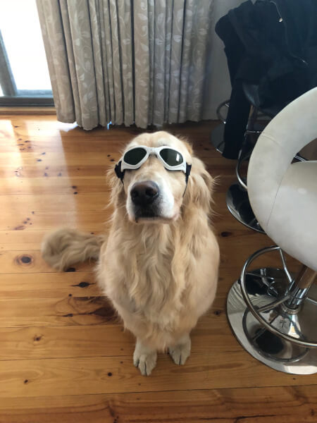 Laser Safety doggles
