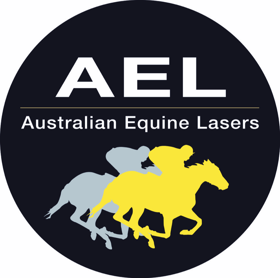 World's Best Equine Laser