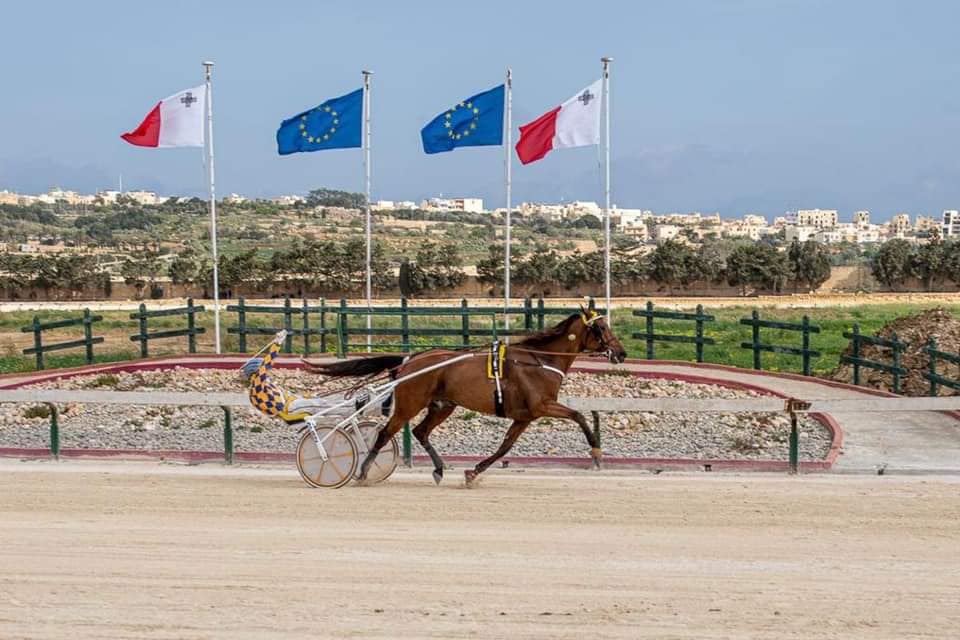 Malta winner