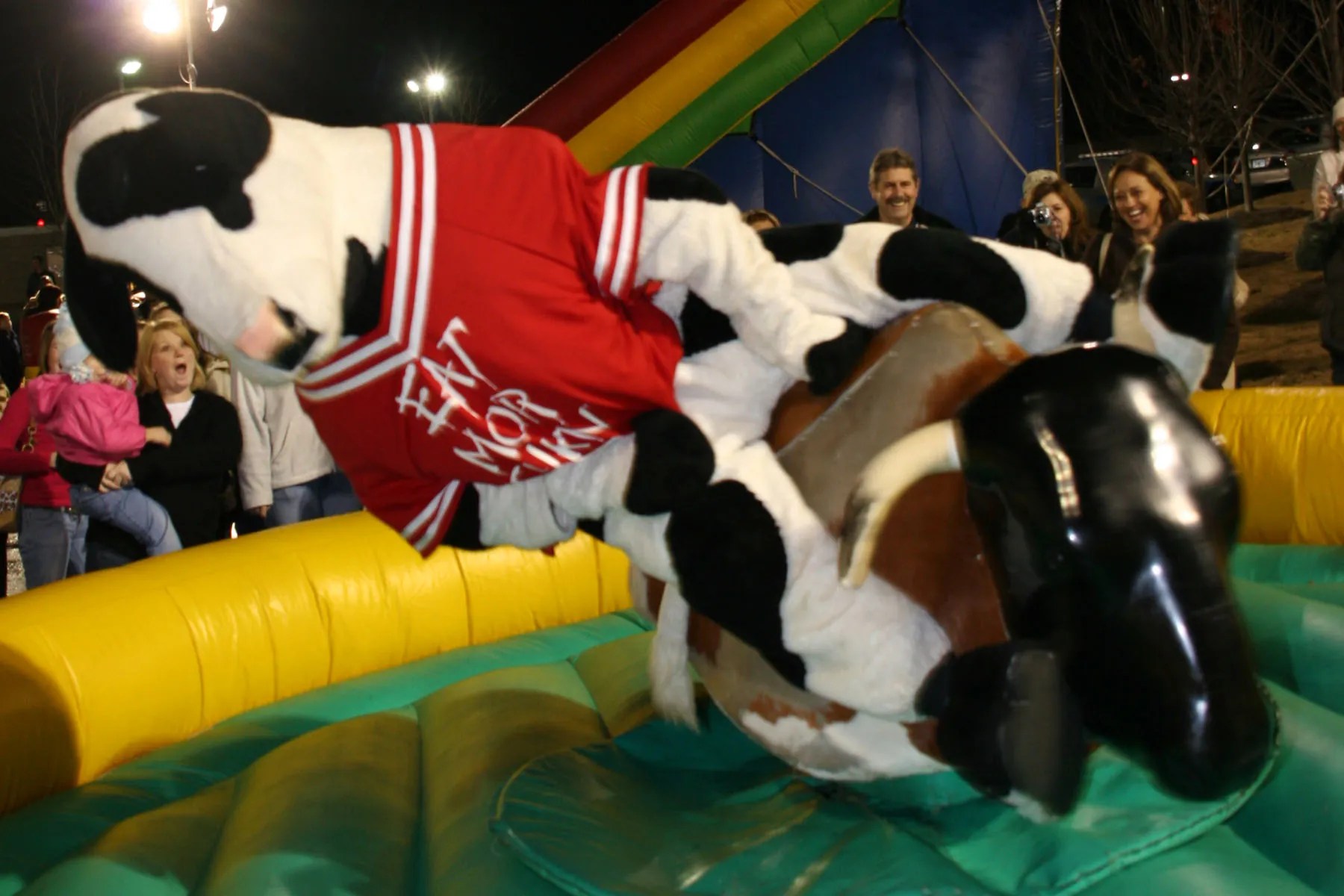 KLB bull01