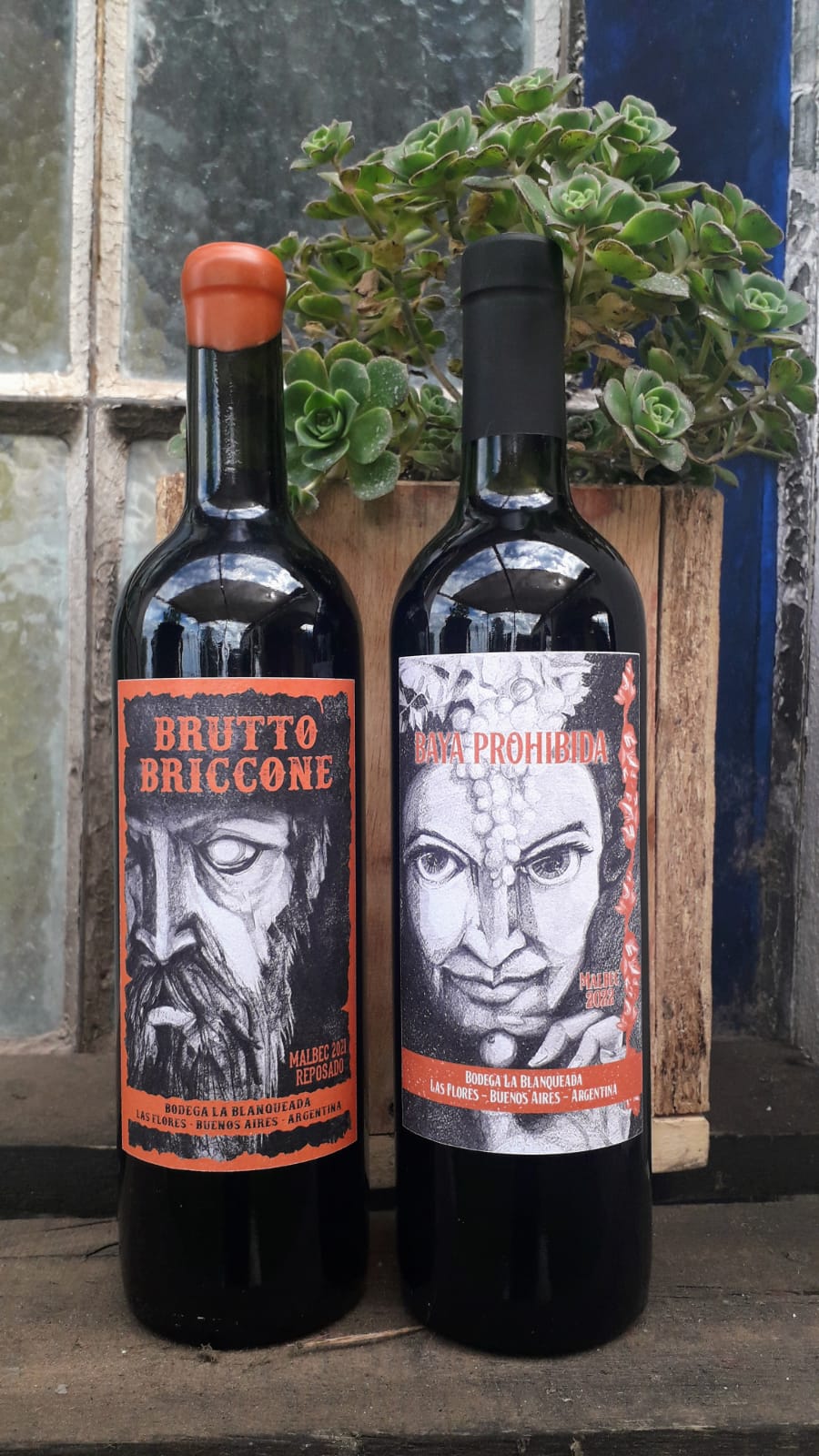 WhatsApp Image 2023-01-05 at 09.22.10