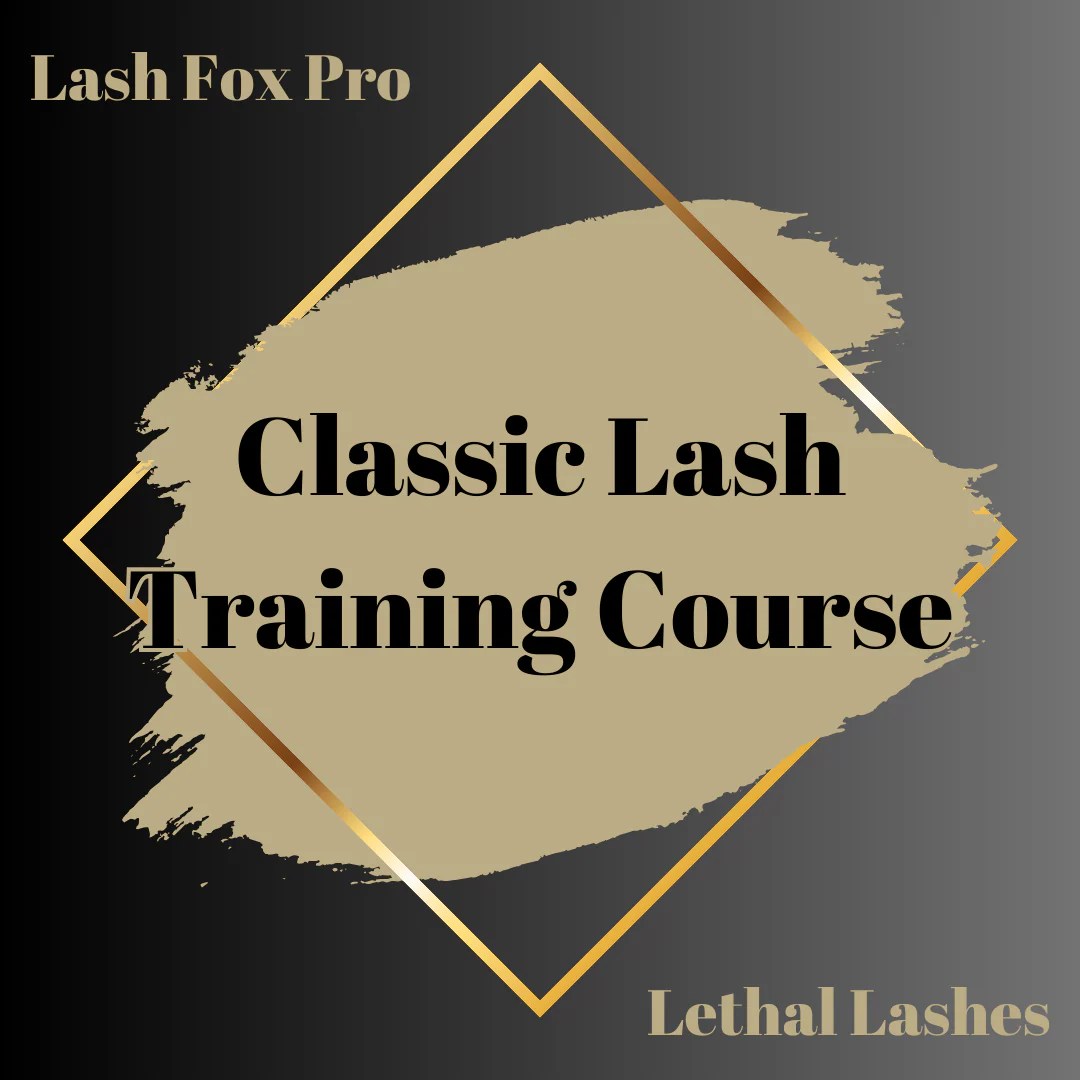 Classic Lash Training Course Online Lash Fox Pro