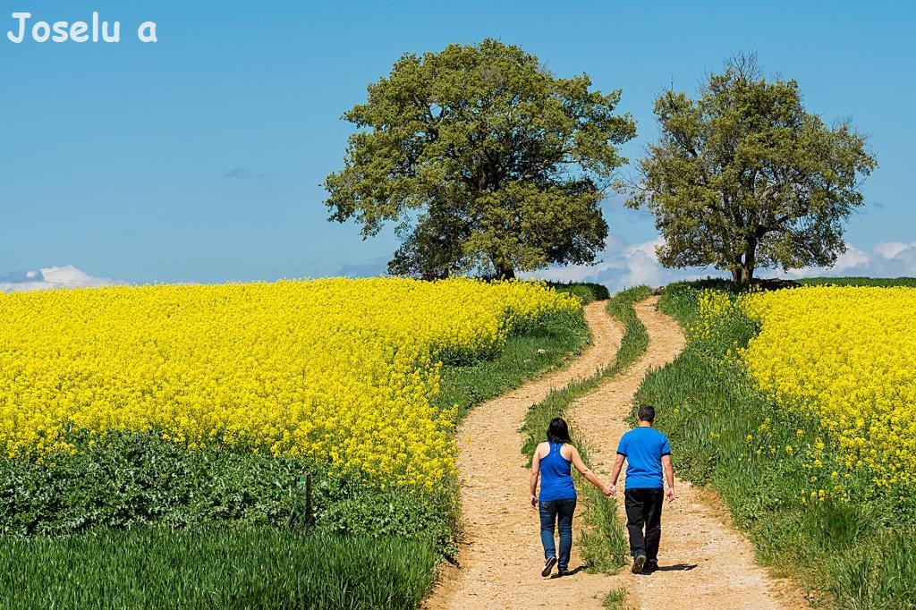 ofertas casa rural Cuenca