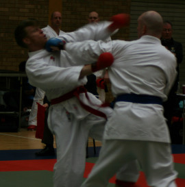 Example of belts and pads.