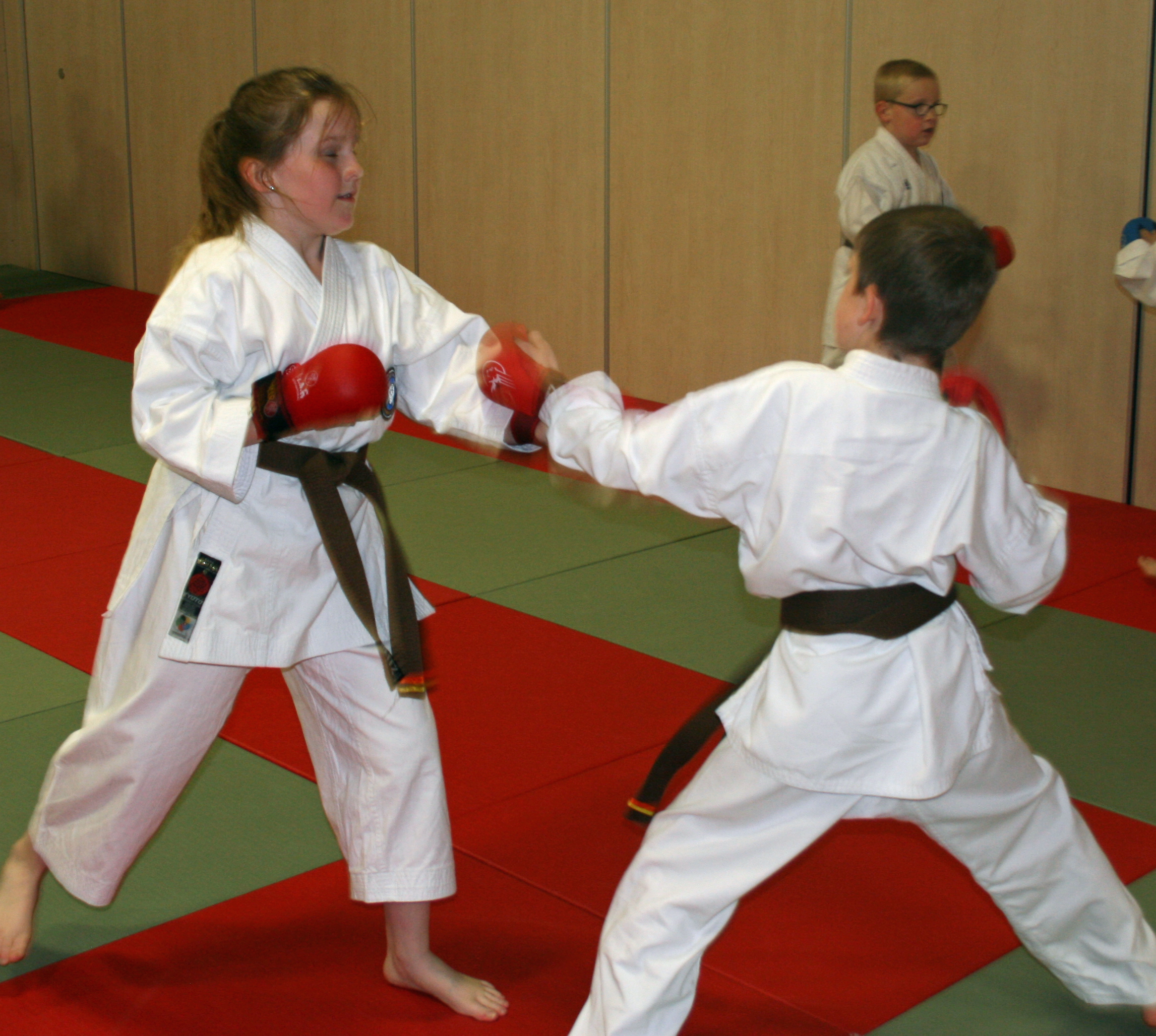 Hannah Cameron Fighting 2