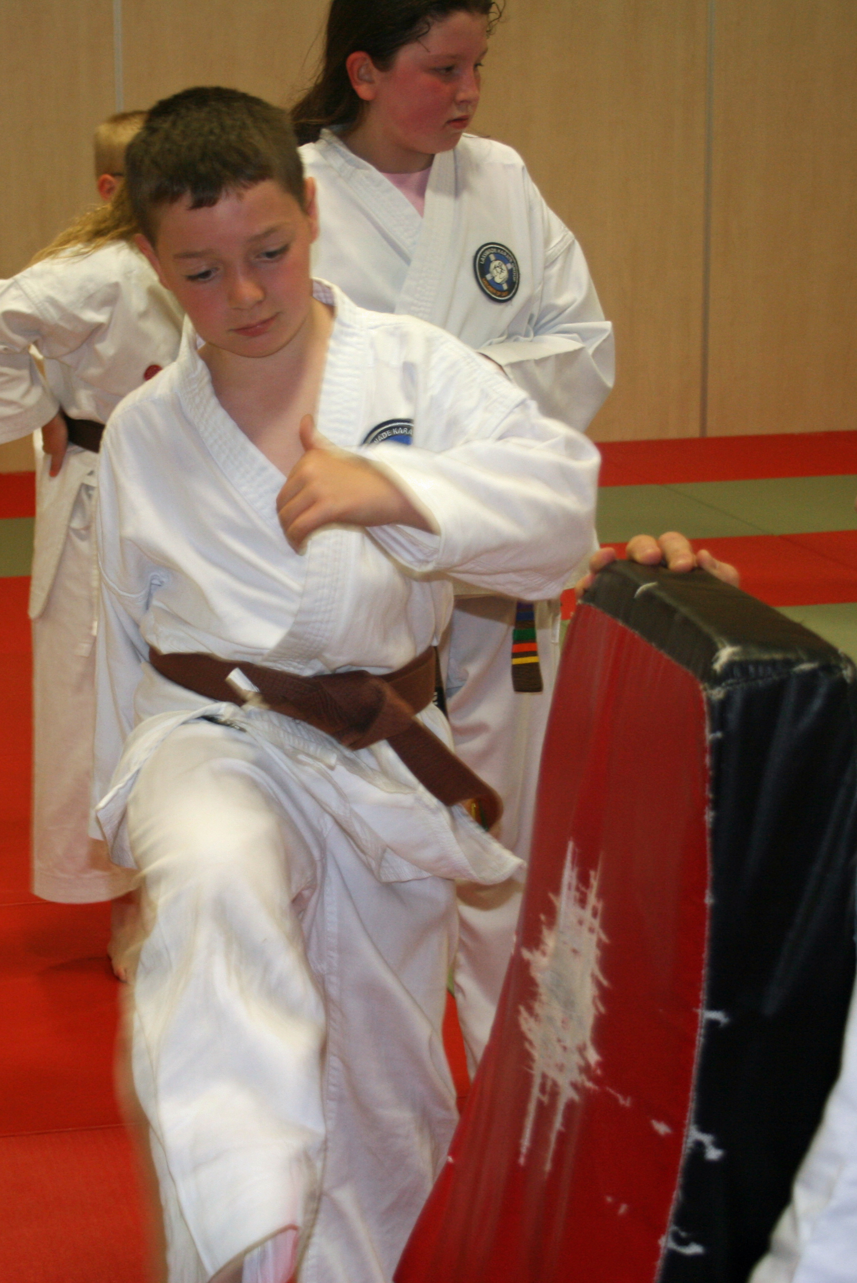 Kicking Pad