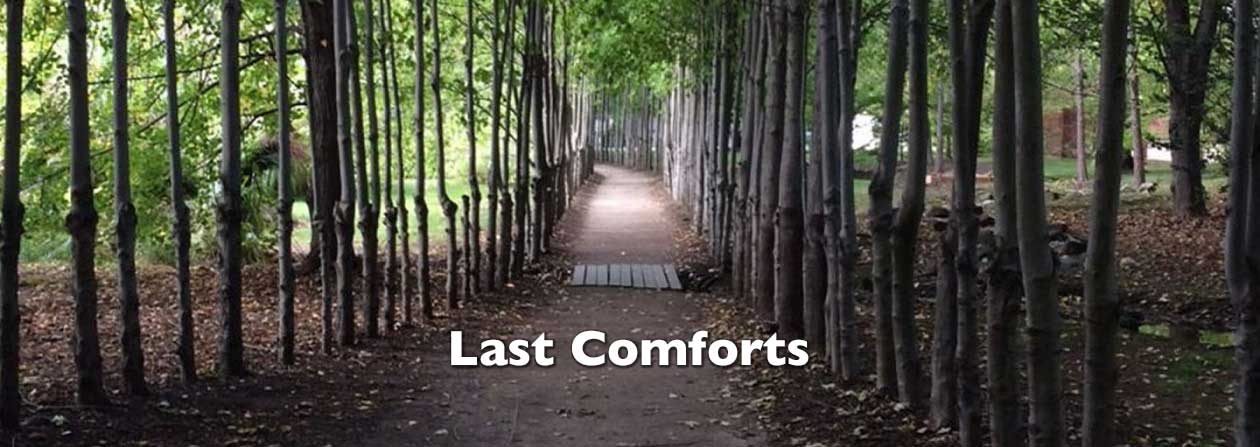 Last Comforts Ellen Rand Website Copyright 2015 by Ellen Rand. All Rights Reserved.