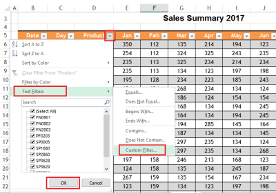 custom filter text excel