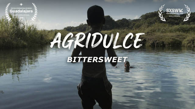 Agridulce movie poster