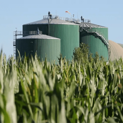 Bio4 mulls return to local bond market
