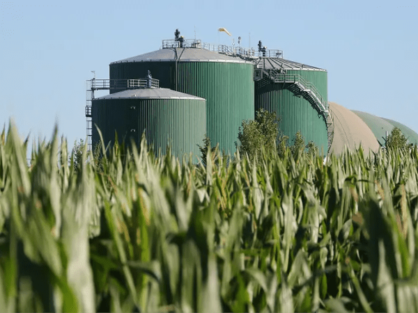 Bio4 mulls return to local bond market