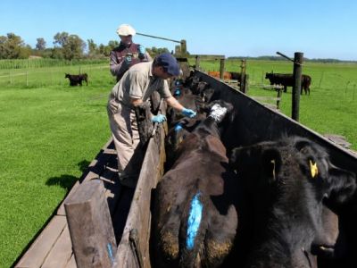 Agro 2000 sets price for Rosenbusch buyout