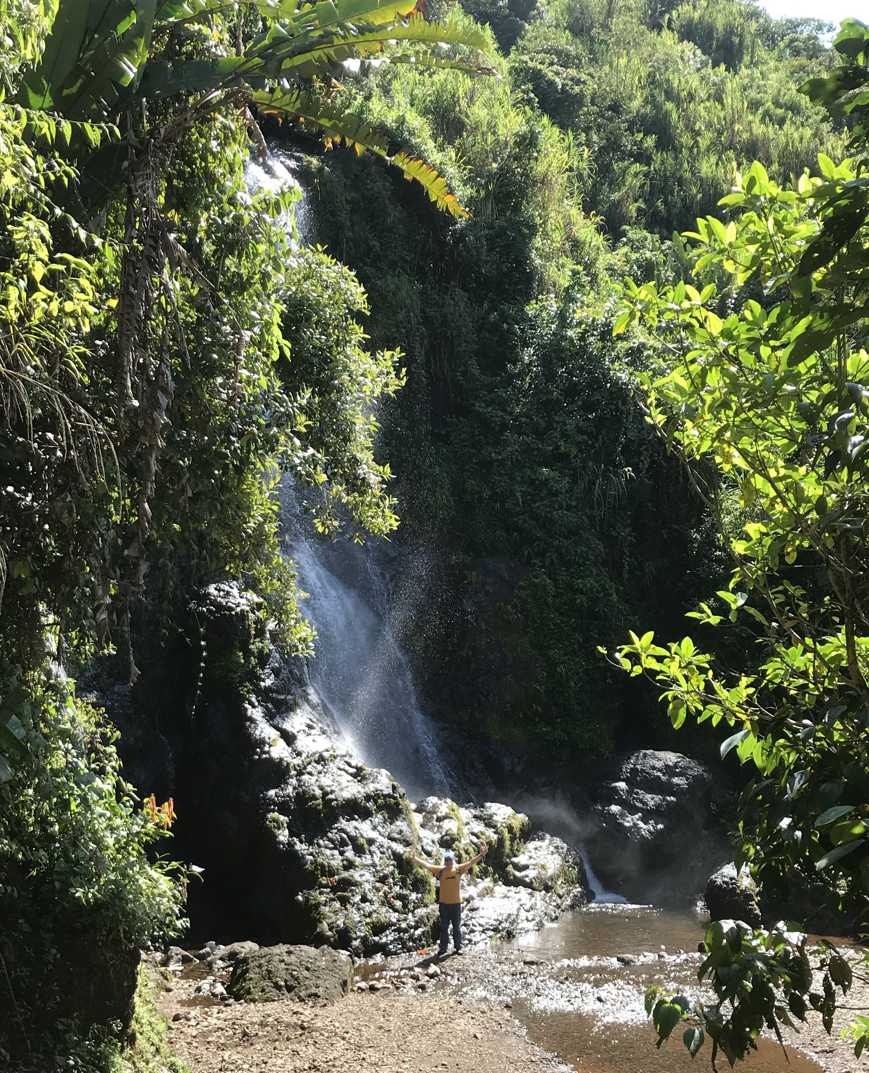 Jardin waterfall