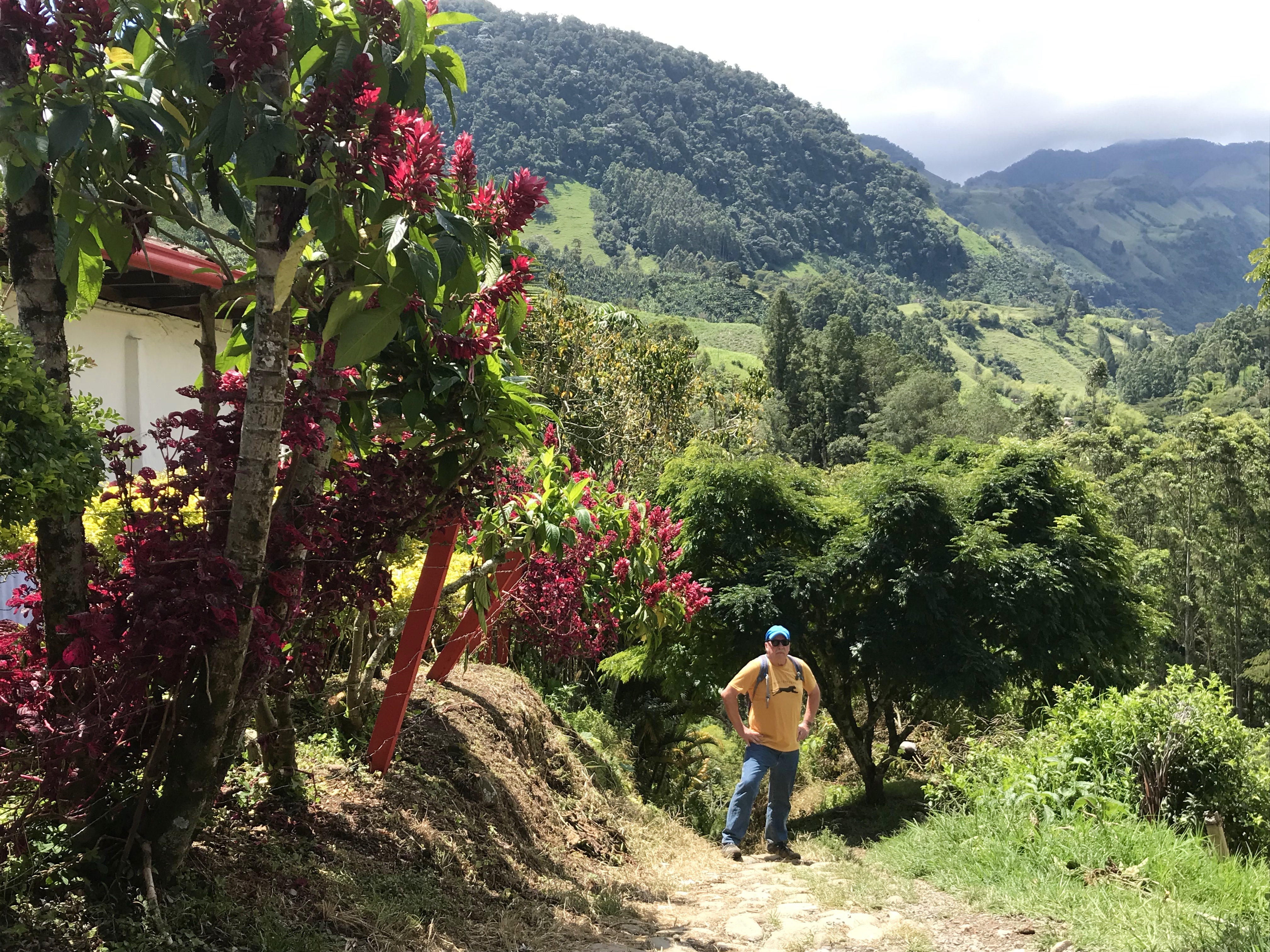 Jardin trail