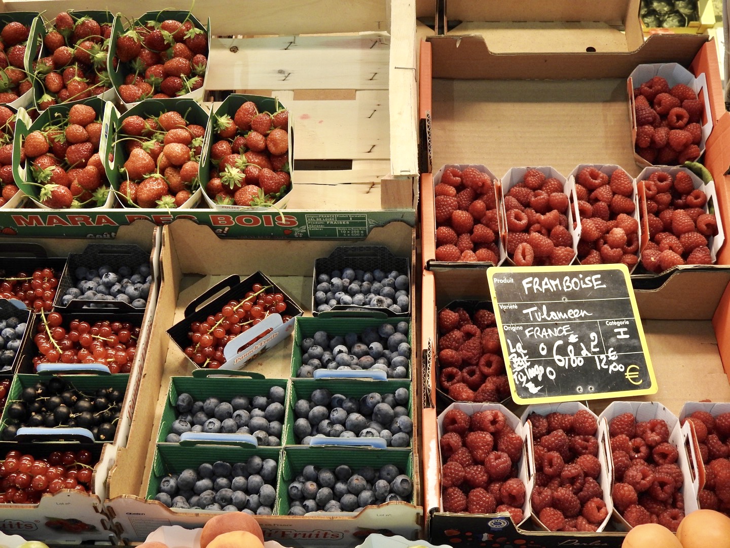 Beautiful berries