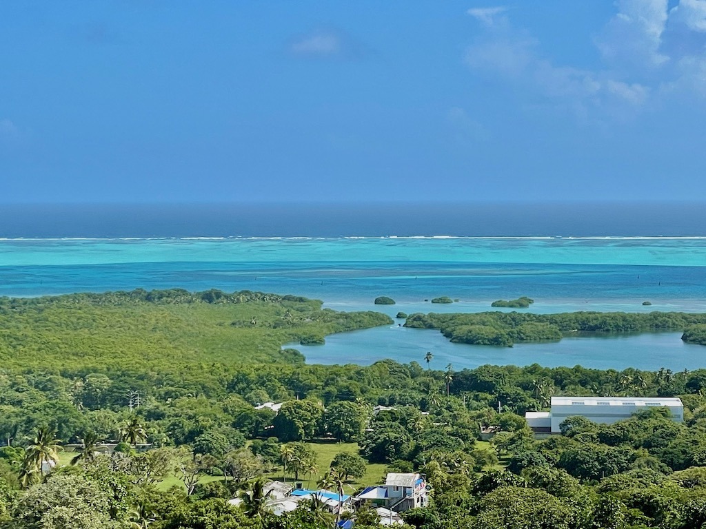 The view east