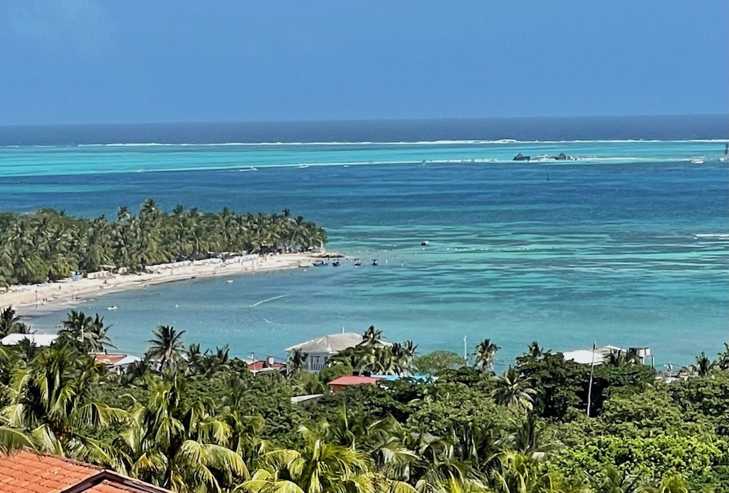 One of the views from the botanical garden tower