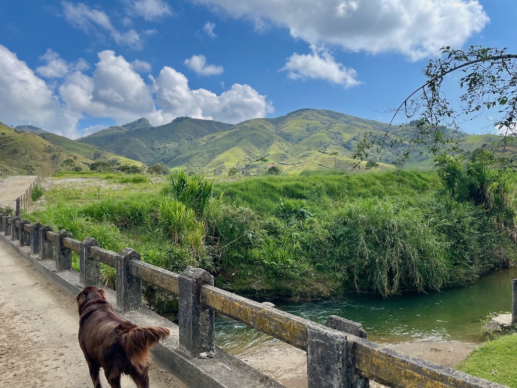 Starting the Rio hike with Bobbie, one of the perros in our group
