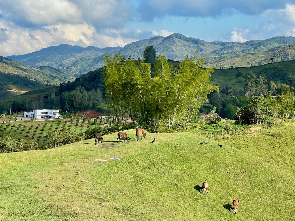 Another view from Alto de la Virgen