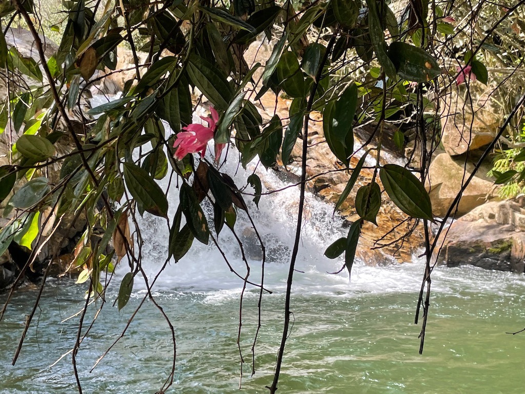 Cascada Aguacate