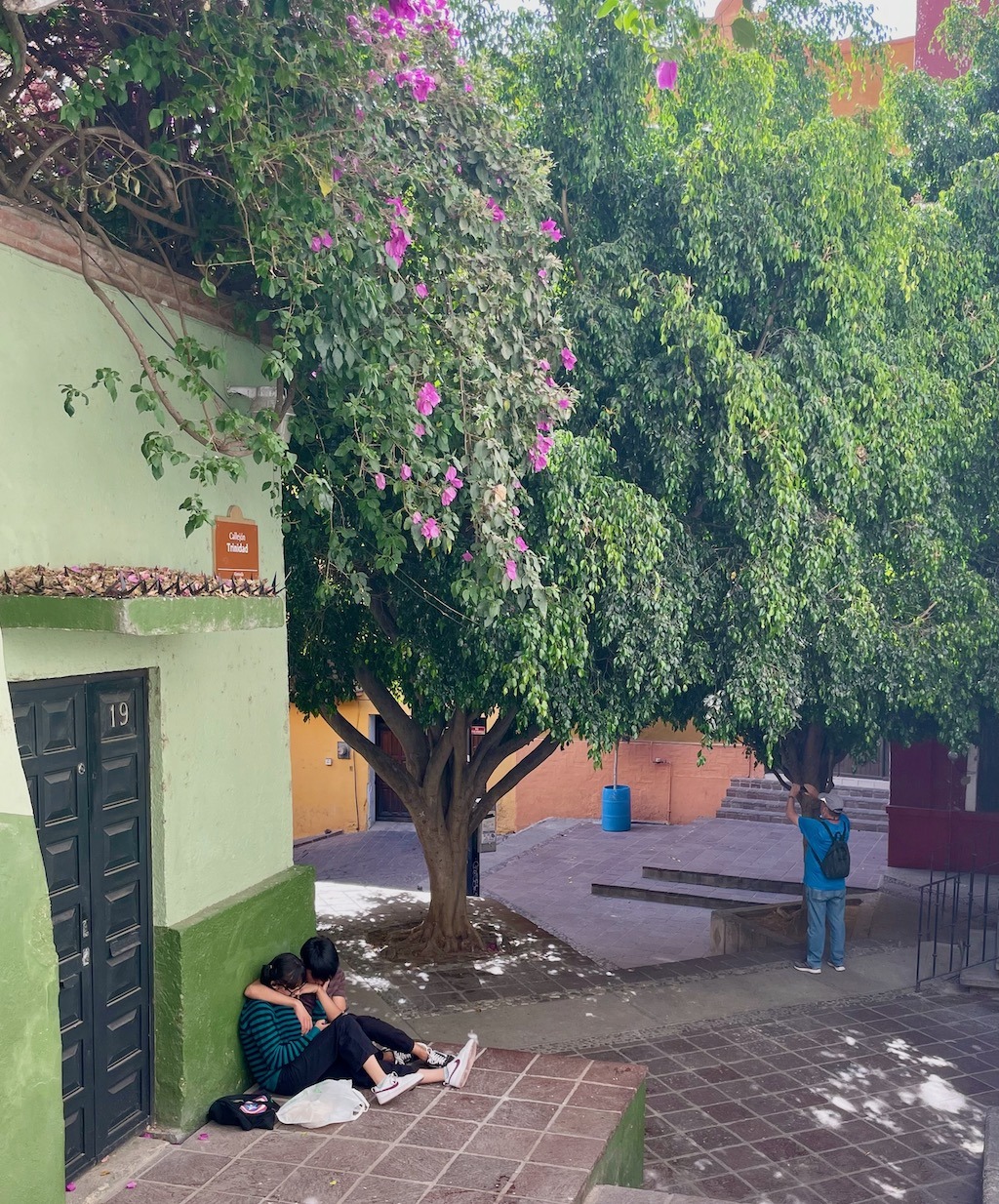 Afternoon scene
