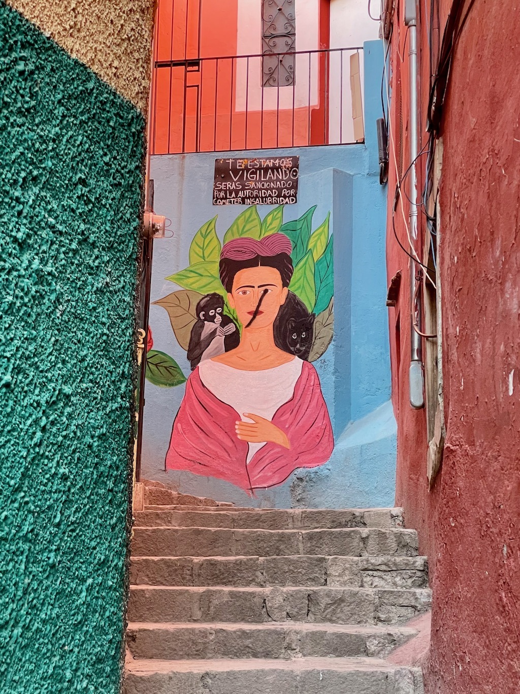 Alleyway tribute to Frida