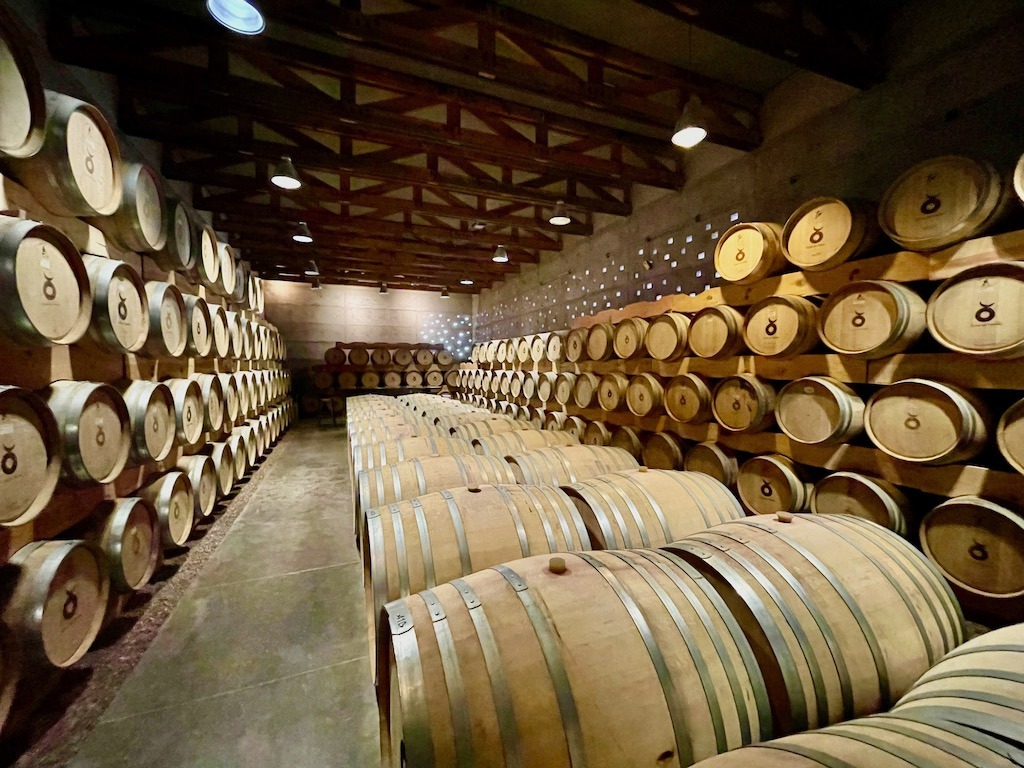 The cellar at Cuna de Tierra