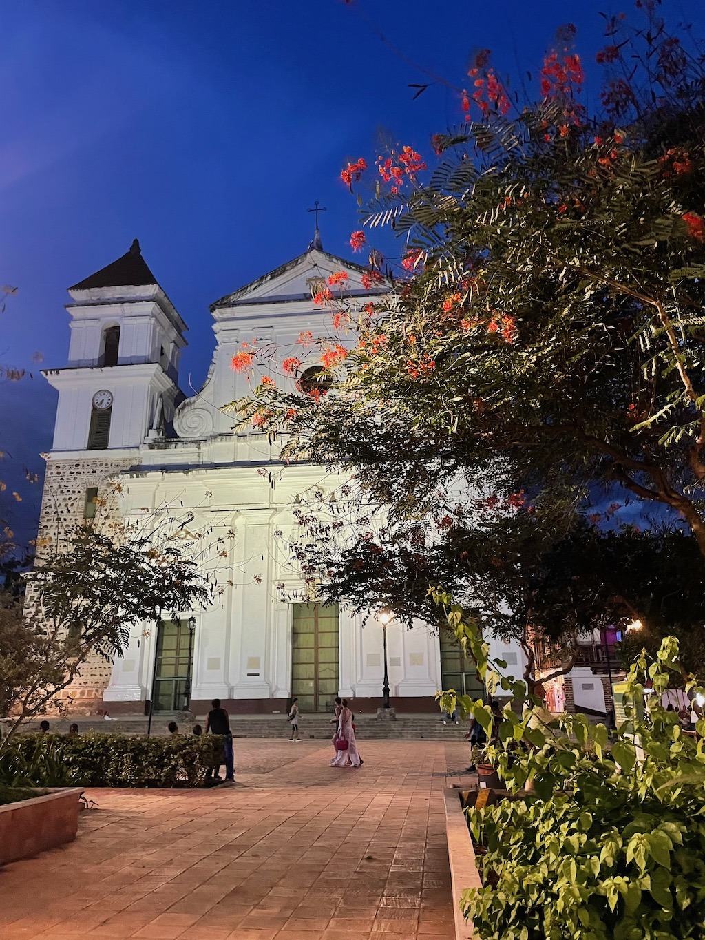 Night view of the Cathedral
