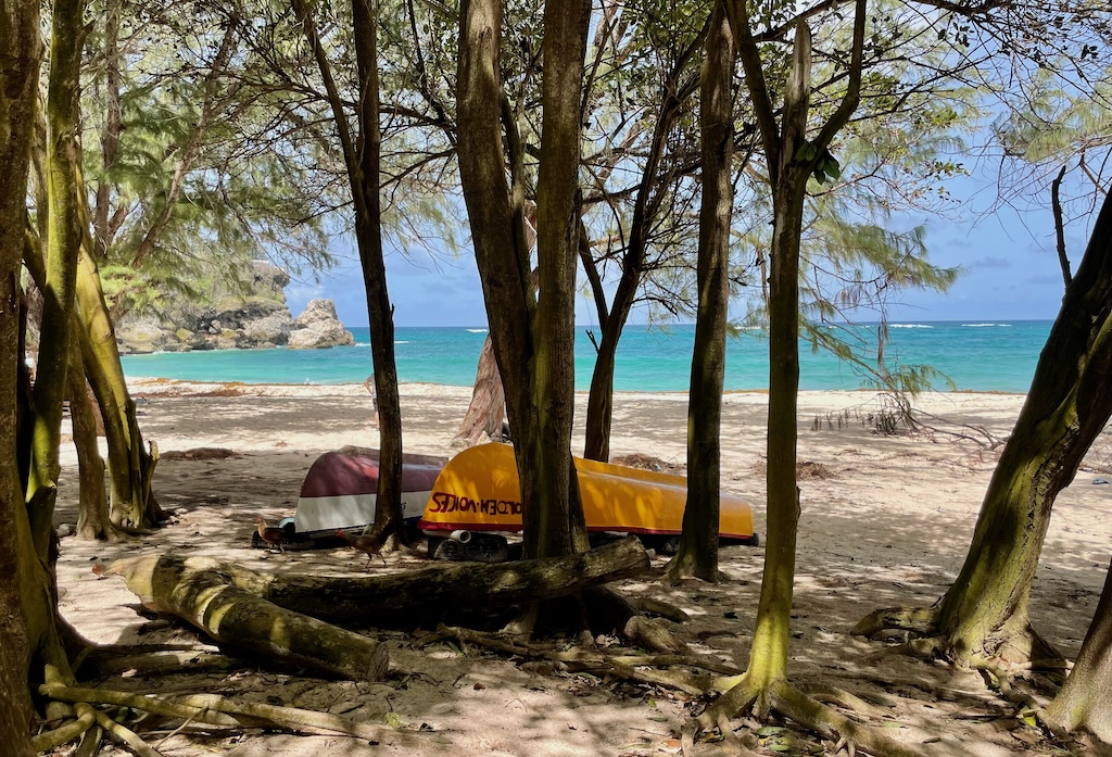 The pretty beach at Foul Bay