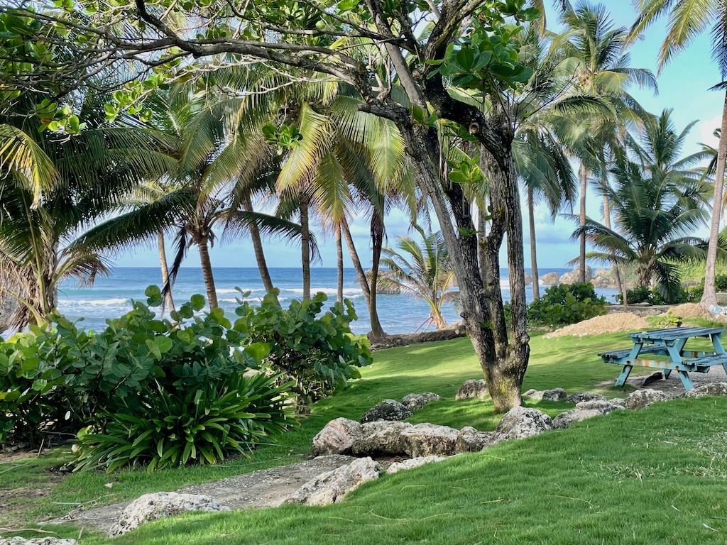 Bathsheba's lovely beach park