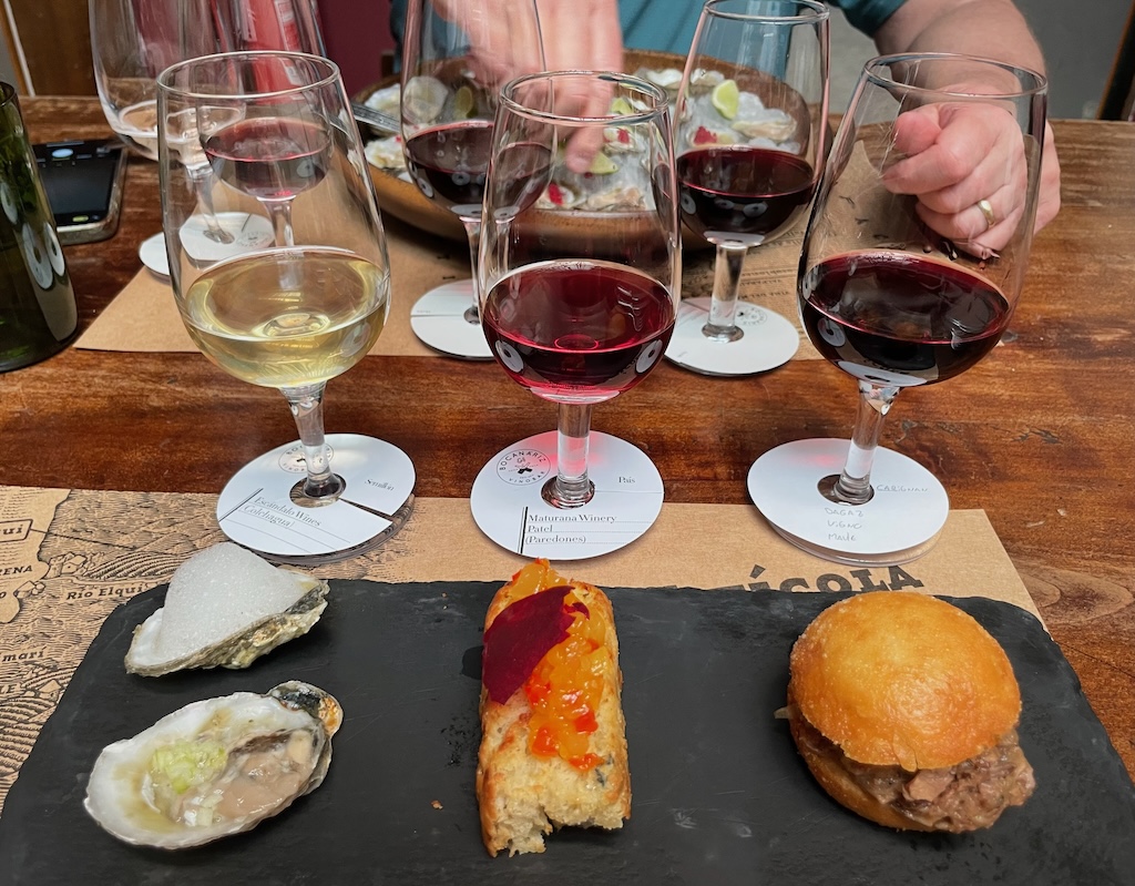 Food and wine pairings at BocaNáriz. So yummy!